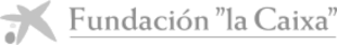 Fundación la Caixa
